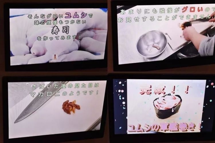 把观赏鱼做成寿司和活鱼一起展览…日本水族馆奇葩举动引网友热议