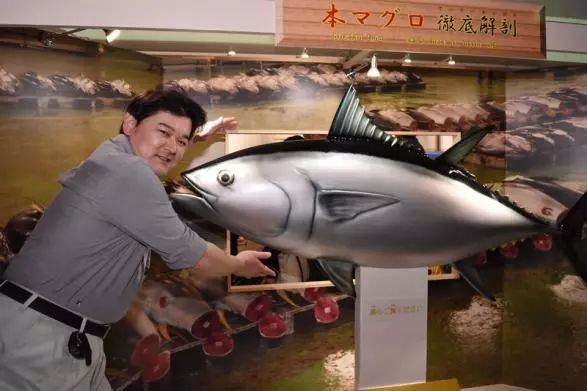 把观赏鱼做成寿司和活鱼一起展览…日本水族馆奇葩举动引网友热议