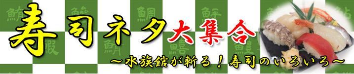 把观赏鱼做成寿司和活鱼一起展览…日本水族馆奇葩举动引网友热议