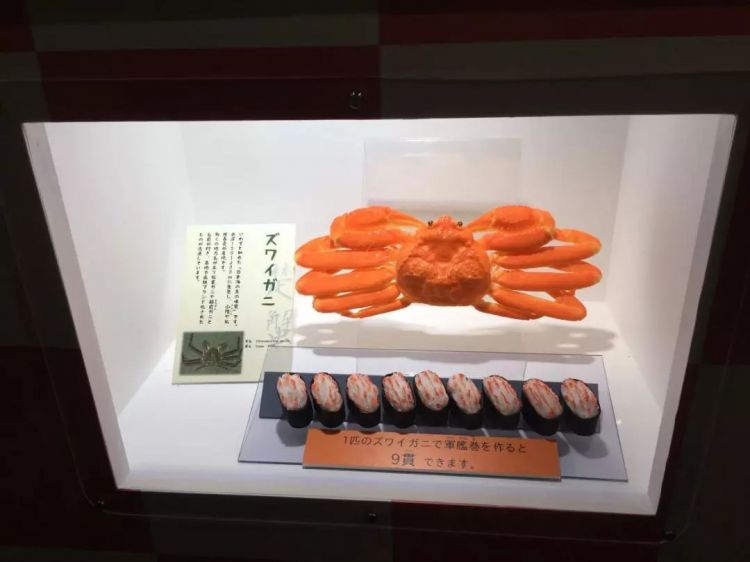 把观赏鱼做成寿司和活鱼一起展览…日本水族馆奇葩举动引网友热议