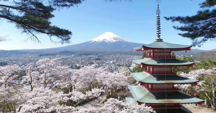 日本的绝景——盛开的樱花、五重塔、富士山