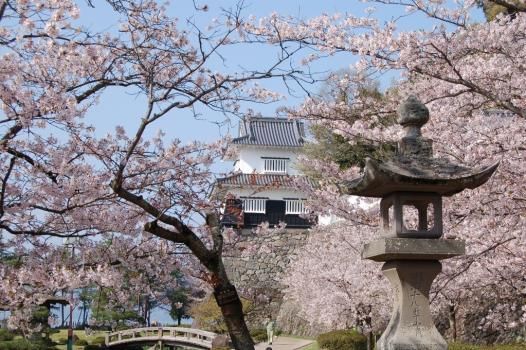 长崎县大村公园，晚春初夏的“花之城” 