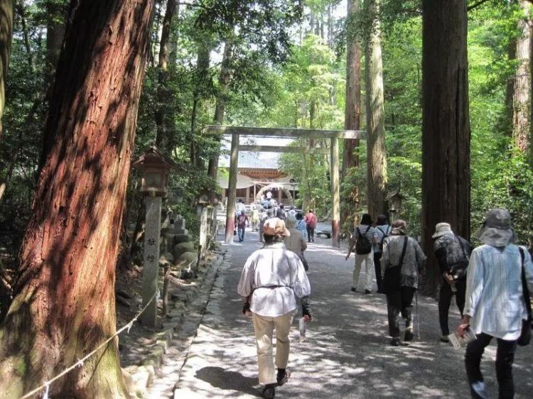 日本87岁高龄司机肇事致2死5伤，为何日本高龄“马路杀手”那么多？