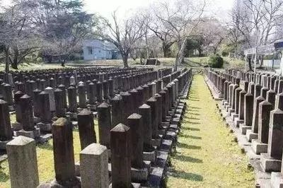 日本87岁高龄司机肇事致2死5伤，为何日本高龄“马路杀手”那么多？