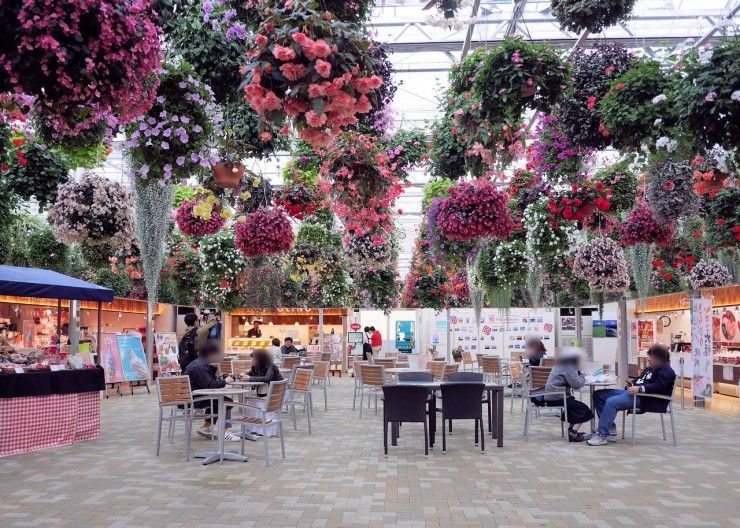 日本绝景一一横跨静冈县的400米“三岛大吊桥”