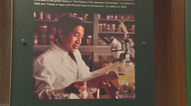 平成结束前 神奈川县藤泽市水族馆展示日本天皇所研究的虾虎鱼