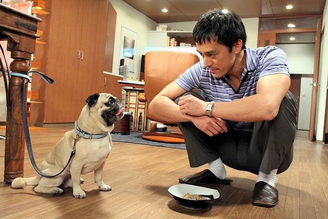 阿部宽主演日剧《不能结婚的男人》推出续集，10月开播