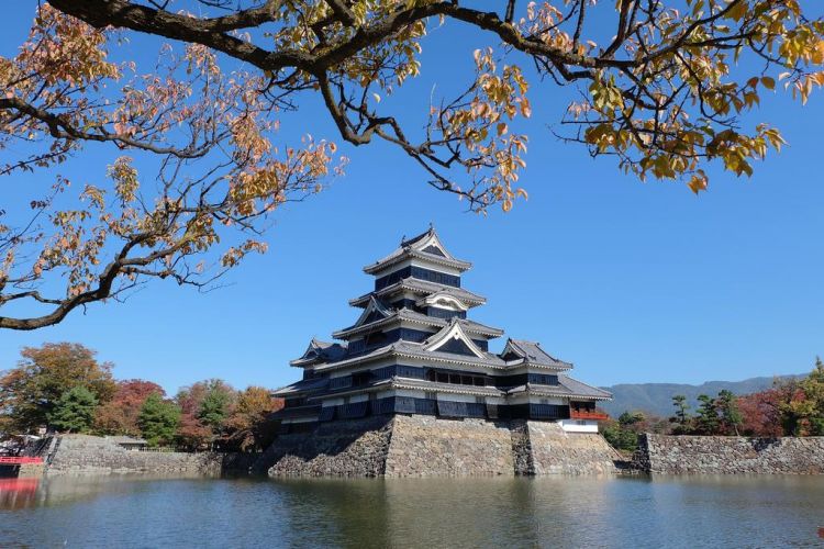 “日本之城”：名古屋城，松江城位次跃进！