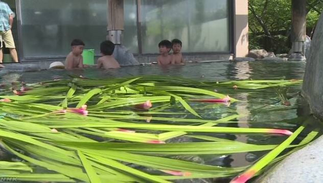 为迎接端午节 静冈县河津町的温泉提供菖蒲池
