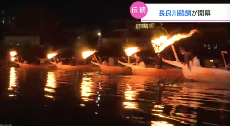 岐阜日本传统民俗“长良川鸬鹚捕鱼”正式开幕