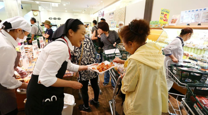 关于日本家庭主妇养老金减半的政策分析