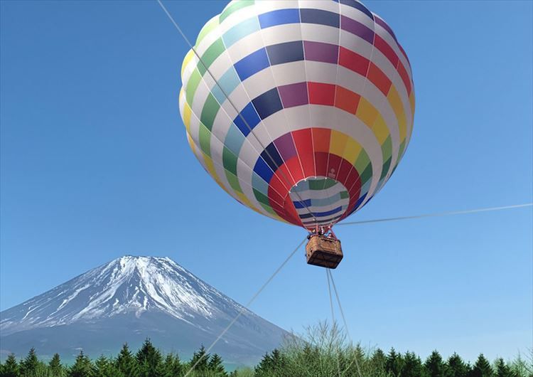 观赏富士山漫山遍野的芝樱，体验富士急游乐园的趣味
