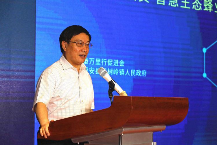 推动创新升级  首届中国数字化蜂业高质量发展峰会在浙江淳安举行