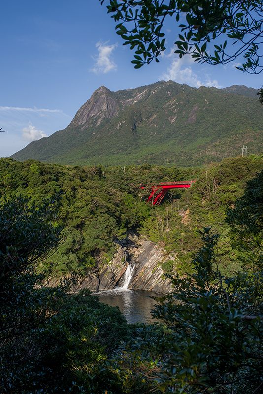 九州游记：鹿儿岛县屋久岛