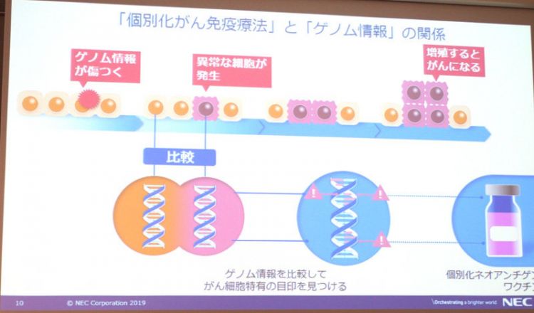 日本NEC进军医药研发事业，AI研发癌症疫苗的未来可期