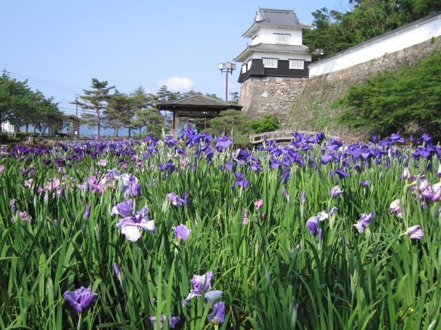花语缤纷,今夏九州最热门赏花地盘点 花语缤纷,今夏九州最热门赏花地盘点