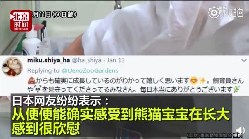 花钱闻屎?!日本动物园推出大熊猫粪便体验,岛国网友表示很欣慰… 花钱闻屎?!日本动物园推出大熊猫粪便体验,岛国网友表示很欣慰…