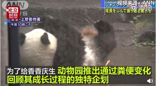 花钱闻屎?!日本动物园推出大熊猫粪便体验,岛国网友表示很欣慰… 花钱闻屎?!日本动物园推出大熊猫粪便体验,岛国网友表示很欣慰…