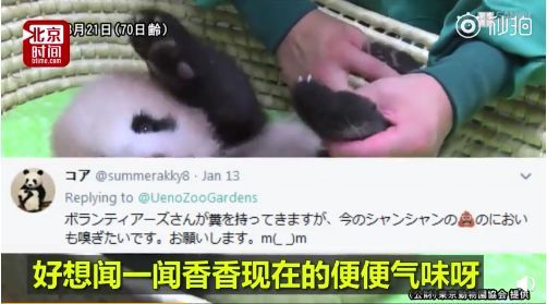 花钱闻屎？！日本动物园推出大熊猫粪便体验，岛国网友表示很欣慰…