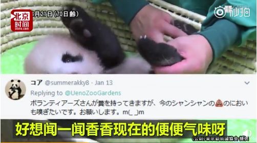 花钱闻屎?!日本动物园推出大熊猫粪便体验,岛国网友表示很欣慰… 花钱闻屎?!日本动物园推出大熊猫粪便体验,岛国网友表示很欣慰…