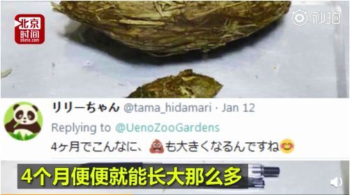 花钱闻屎?!日本动物园推出大熊猫粪便体验,岛国网友表示很欣慰… 花钱闻屎?!日本动物园推出大熊猫粪便体验,岛国网友表示很欣慰…