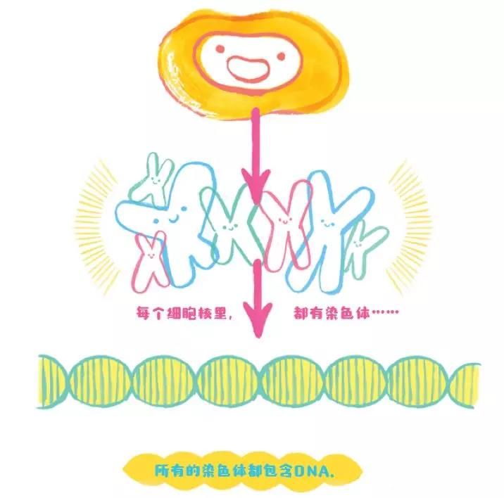 长得一样可性格大不同？日本艺术家镜头下的双胞胎女儿