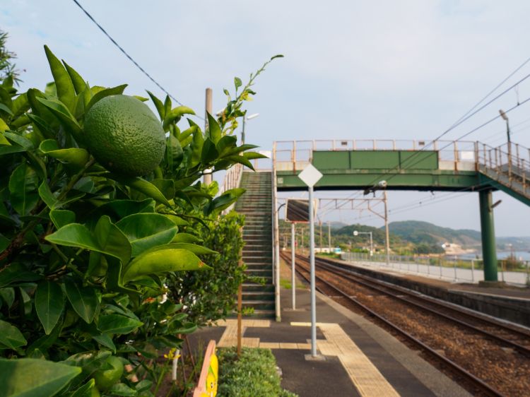 《能看见海的车站》鹿儿岛篇：龙水站、宮浜站、牛浜站、薩摩高城站