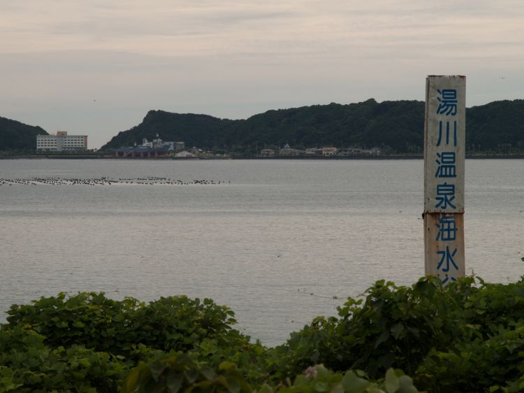 《能看见海的车站》和歌山篇：和歌山港站、汤川站、那智站、和深站、见老津站