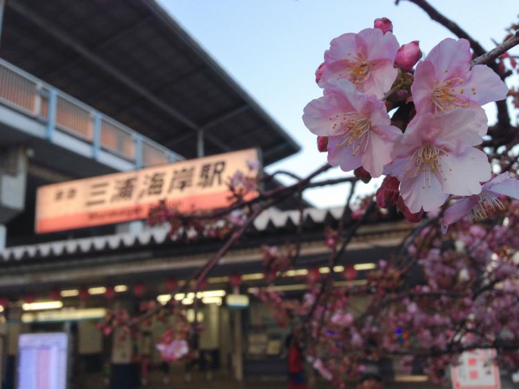 《能看见海的车站》神奈川篇：镰仓高校前站、目白山下站、根府川站、....