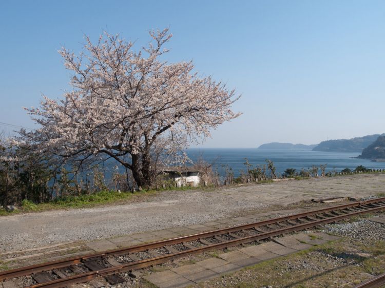 《能看见海的车站》神奈川篇：镰仓高校前站、目白山下站、根府川站、....