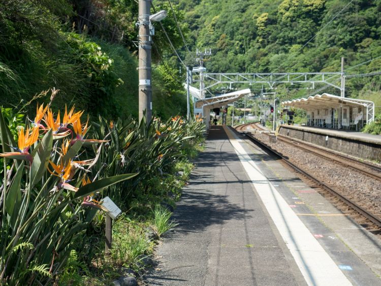 《能看见海的车站》静冈篇：伊豆北川站、片濑白田站、伊豆热川站......