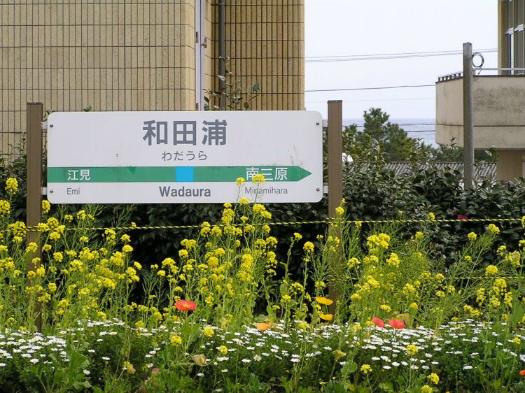 《能看见海的车站》千叶篇：浜金谷站、竹冈站、和田浦站