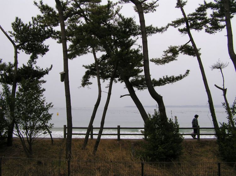 《能看见海的车站》宫城篇：松岛海岸站、大谷海岸站、小金泽站....