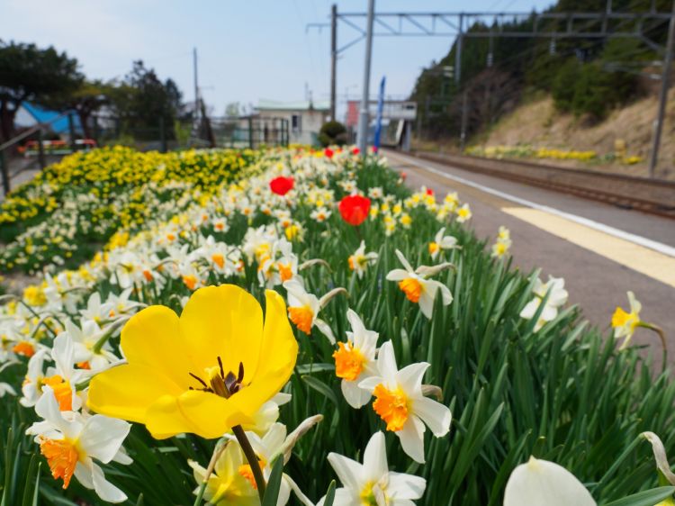 《能看见海的车站》北海道篇：北浜站、朝里站、濑越站....