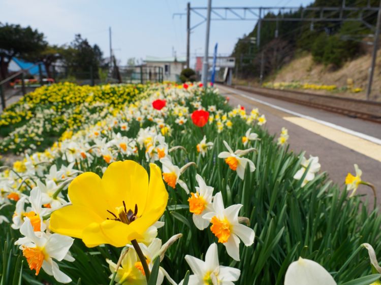 《能看见海的车站》北海道篇：北浜站、朝里站、濑越站....