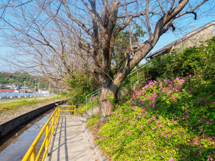 《能看见海的车站》佐贺篇：肥前七浦站、肥前饭田站