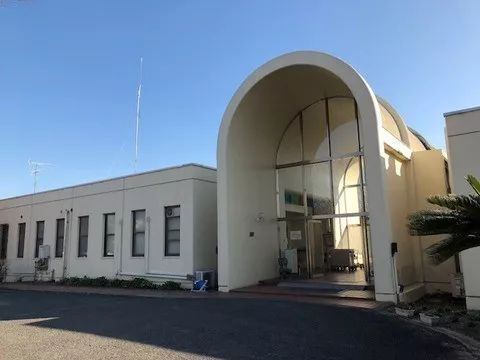 岛国00后喜欢的这些，我真的不懂啊……