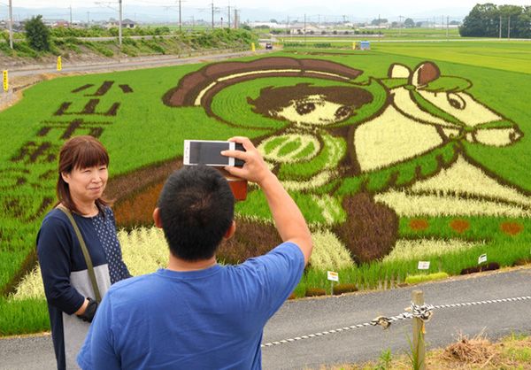 日本小山市艺术稻田“以田为卷”绘出《铁臂阿童木》《骑士公主》