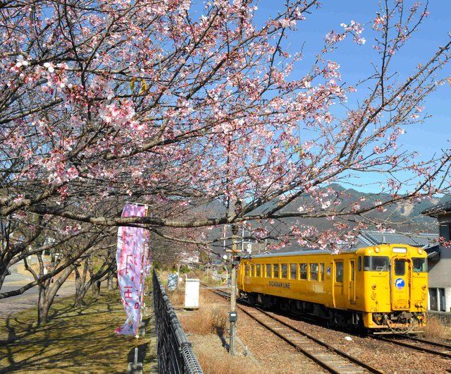 JR九州运营危机!40%以上路线“运营困难”,平均利用者只有不到4000人 JR九州运营危机!40%以上路线“运营困难”,平均利用者只有不到4000人