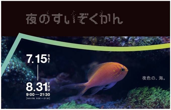 福冈夏季活动！海洋世界的夜之水族馆×夏日祭典来啦