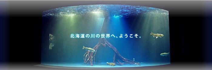 日本最值得参观的10所水族馆（上篇）