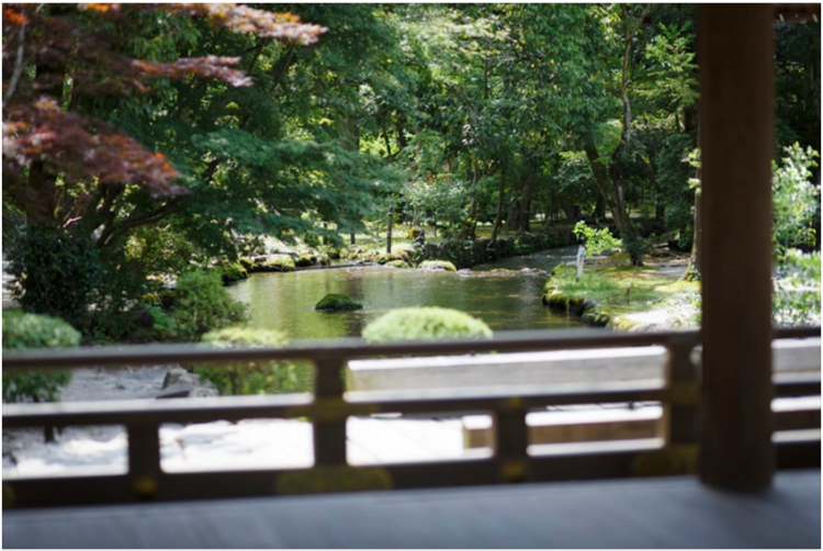 盛夏京都避暑之旅——上贺茂神社