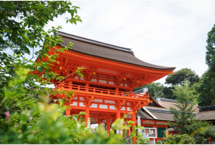 盛夏京都避暑之旅——上贺茂神社