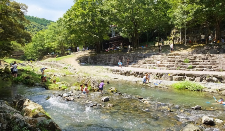 揭晓福冈县夏日5大家庭露营点