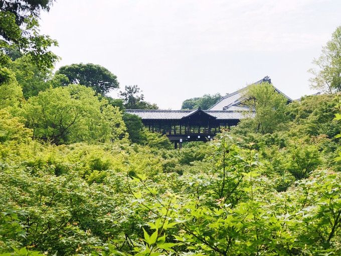 京都的二散步小旅行