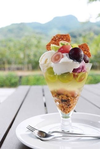 这个夏天酸酸甜甜冷冰冰！九州夏日绝品甜点11选