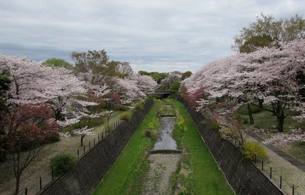 那些日本人最想去的动漫巡礼圣地