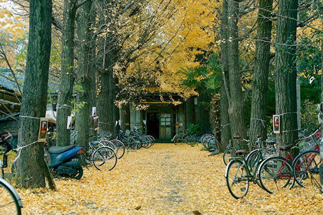 日本最古老的宿舍——京都大学吉田寮
