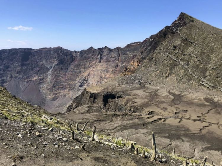 重生的三宅岛火山周边将于2020年重新开放观光 重生的三宅岛火山周边将于2020年重新开放观光