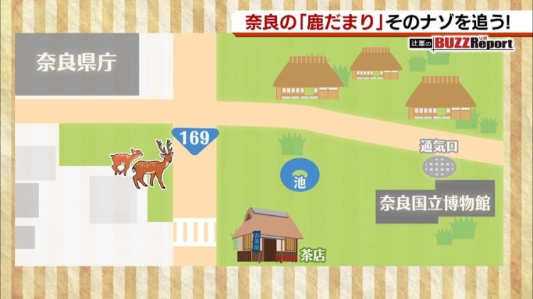 奈良国立博物馆前出现的“鹿群集会”引起网民热议 奈良国立博物馆前出现的“鹿群集会”引起网民热议